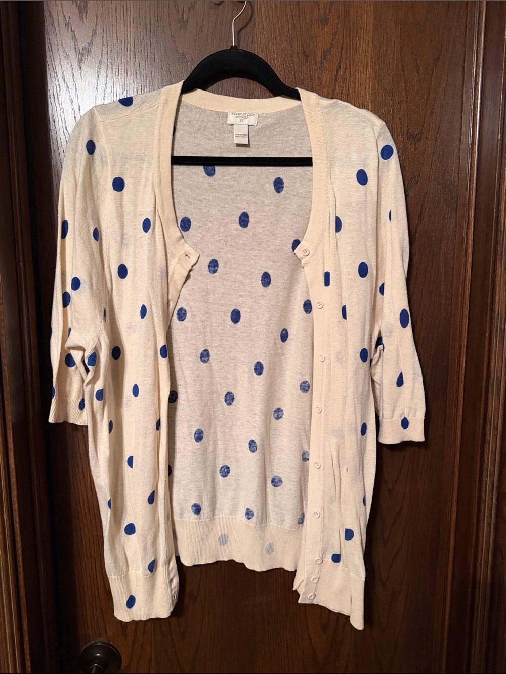 Ann Taylor Sleeveless Polka Dot Camisole in Cream with Blue Dots